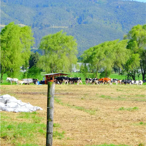 Reserva imagen 2